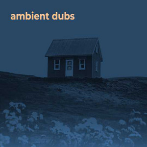 Artwork for Ambient leaning dubs