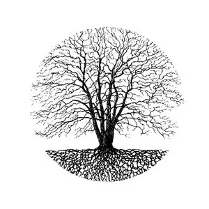 Artwork for Silent Season