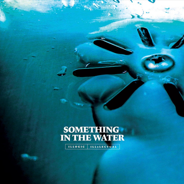 Artwork for Something in the Water